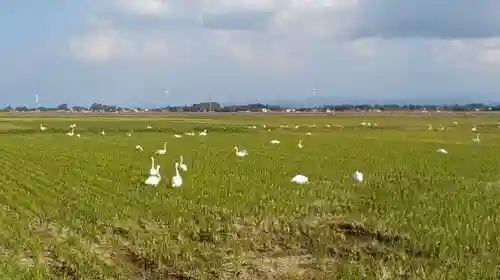白狐山光星寺(山形県)