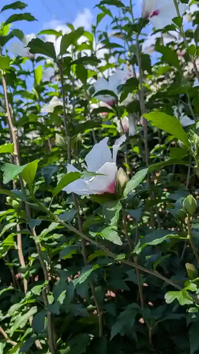 西林寺(京都府)