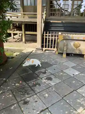 今市報徳二宮神社(栃木県)