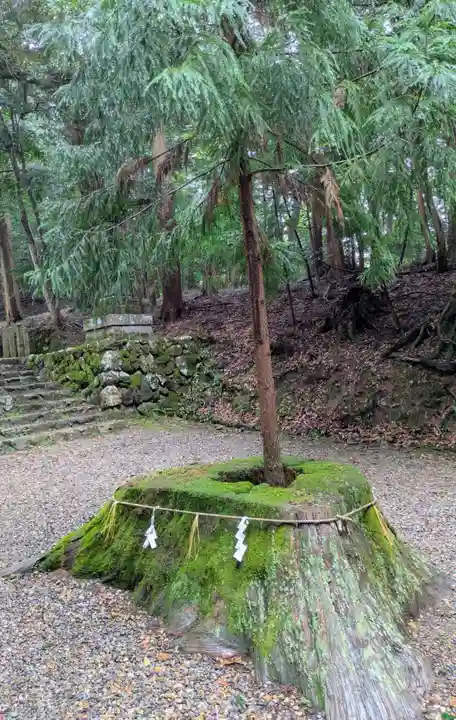 元伊勢内宮 皇大神社(京都府)