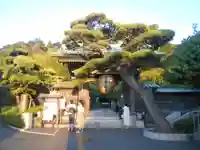 長谷寺の山門・神門