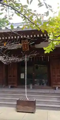 真正極楽寺(真如堂)の本殿・本堂