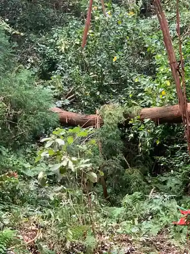 佐助稲荷神社の自然