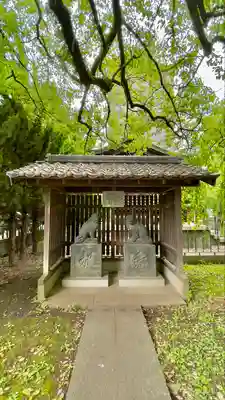 川口神社の狛犬
