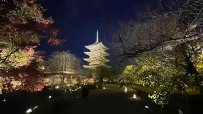 東寺（教王護国寺）(京都府)