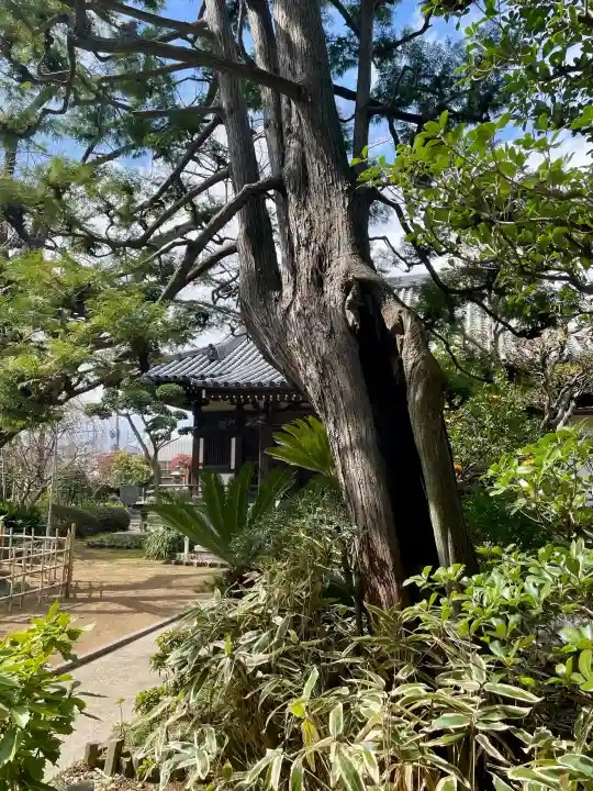 法真寺の{uncategorized: "未分類", other: "その他", undefined: "問題あり", building: "その他建物", grave: "お墓", sacred_gate: "鳥居", guardian: "狛犬", statue: "像", buddha: "仏像", history: "歴史", nature: "自然", garden: "庭園", animal: "動物", pagoda: "塔", temizu: "手水舎", mountain_gate: "山門・神門", sanctuary: "本殿・本堂", subordinate: "末社・摂社", art: "芸術", scenery: "景色", jizo: "地蔵", ema: "絵馬", goshuin: "御朱印", omikuji: "おみくじ", items: "授与品その他", amulet: "お守り", goshuincho: "御朱印帳", eats: "食事", festival: "お祭り", votive_dance: "神楽", shichigosan: "七五三参", wedding: "結婚式", experience: "体験その他", initially: "初詣", around: "周辺", anti_infection: "感染症対策"}