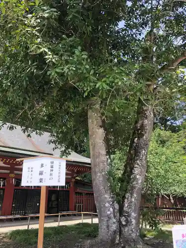 志波彦神社・鹽竈神社(宮城県)