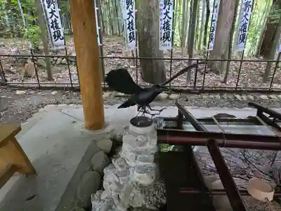 熊野本宮大社(和歌山県)