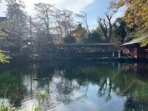 富士山本宮浅間大社の庭園