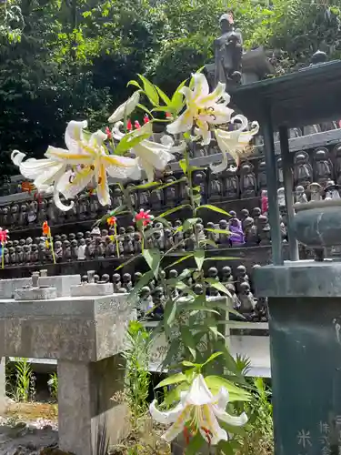 国上寺(新潟県)