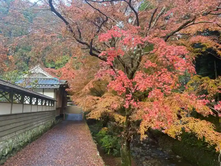鰐淵寺(島根県)