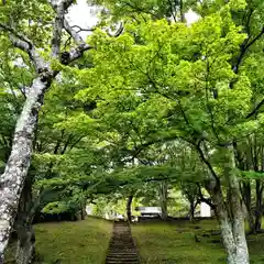 土津神社｜こどもと出世の神さまの自然