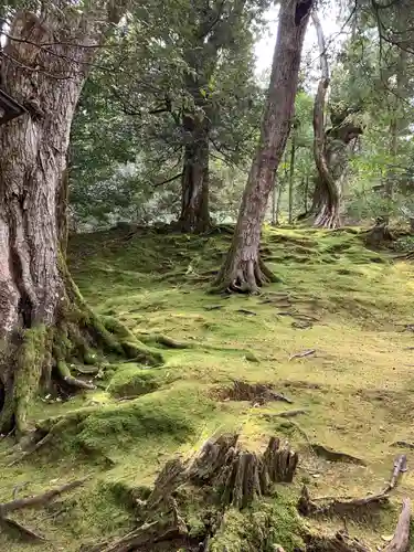 須部神社(福井県)