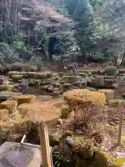 満願寺の庭園