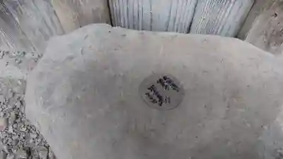 法雲寺(京都府)