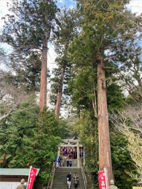高瀧神社の自然