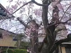 天暁山　一行院(東京都)