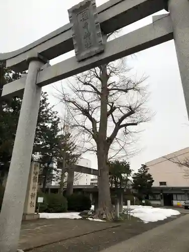 福井神社(福井県)