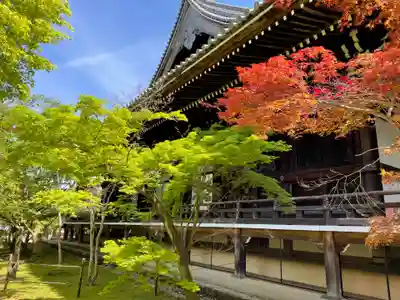 光明寺（粟生光明寺）(京都府)