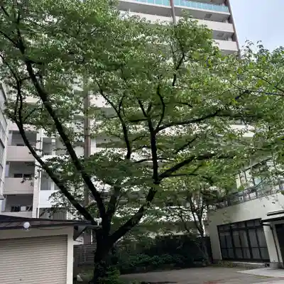 御津八幡宮(大阪府)