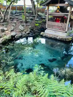 泉神社(茨城県)