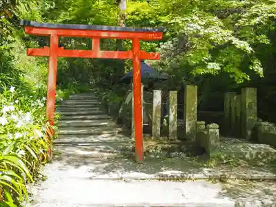 岡寺(龍蓋寺)(奈良県)