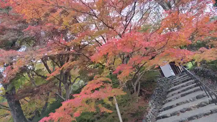 出雲大神宮(京都府)