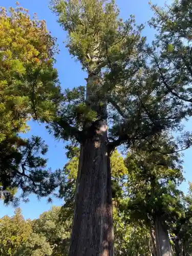 伊勢神宮外宮（豊受大神宮）(三重県)