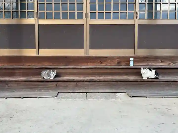 一心寺・一心禅寺(愛知県)