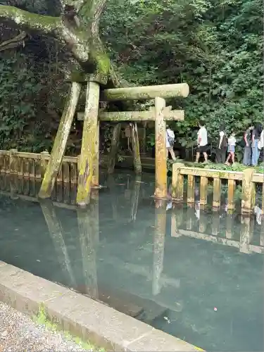 奥宮(鹿島神宮摂社)(茨城県)