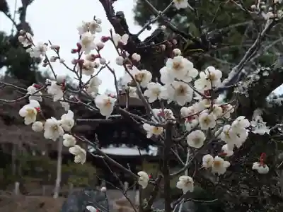 石山寺(滋賀県)
