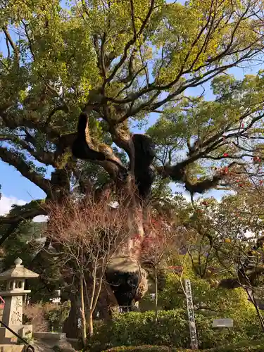 與止日女神社の自然