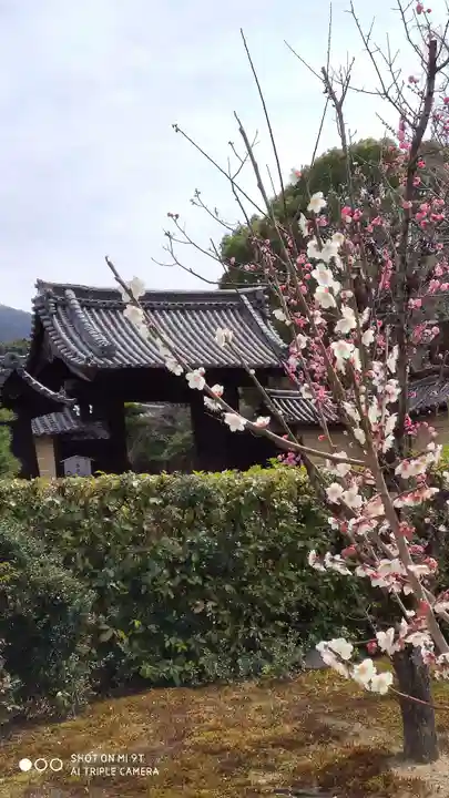 隨心院(随心院)の山門・神門