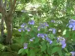 神峯山寺の自然