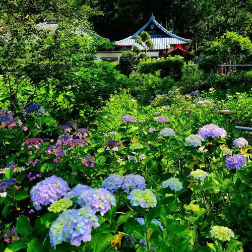極楽寺(静岡県)