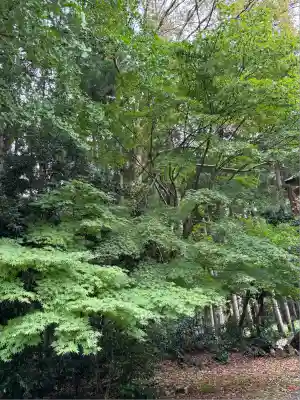 青龍寺(新潟県)