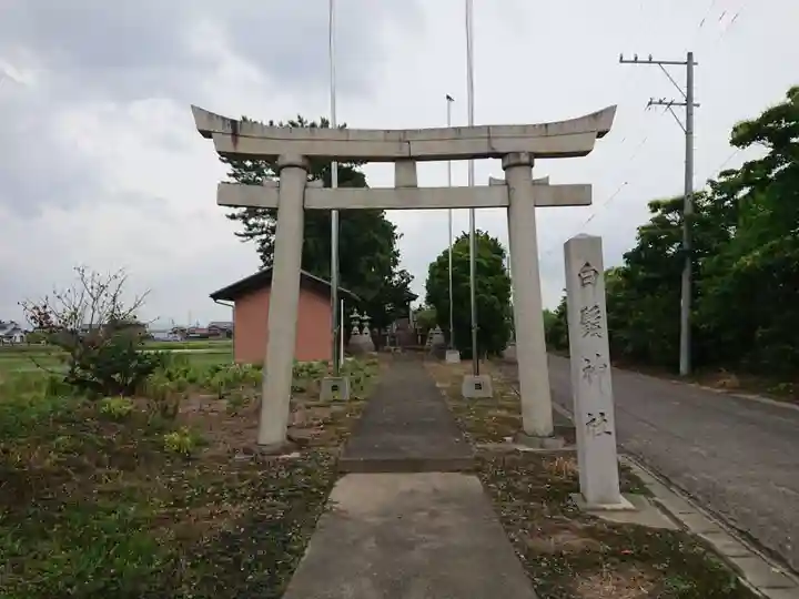 白髭神社(白鬚神社)の鳥居
