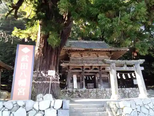 武田八幡宮(山梨県)