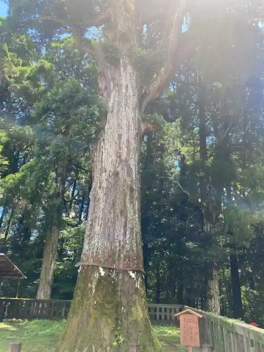 霧島神宮(鹿児島県)