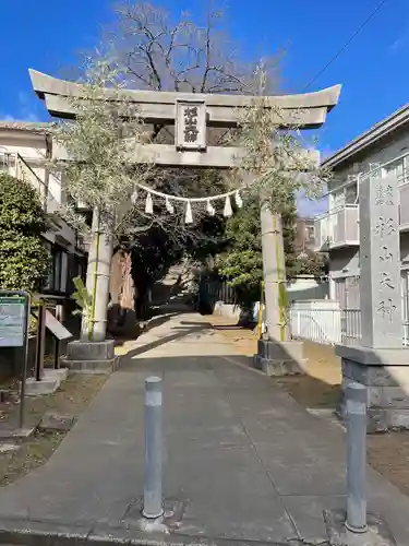 六角橋杉山大神(神奈川県)