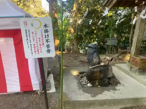 鷲子山上神社の狛犬