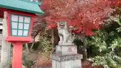 八雲神社(緑町)の狛犬