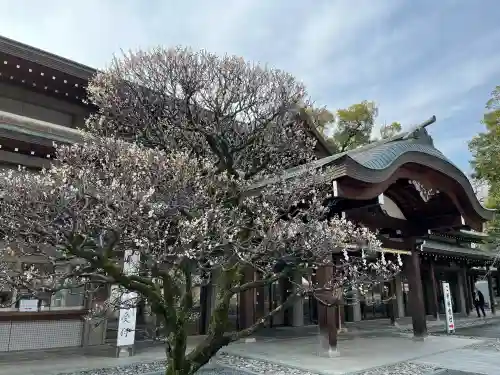 三嶋大社(静岡県)