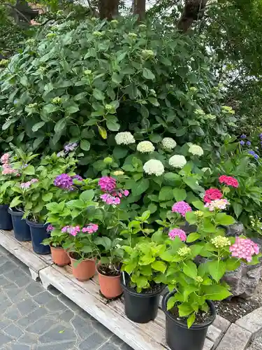 能護寺(埼玉県)