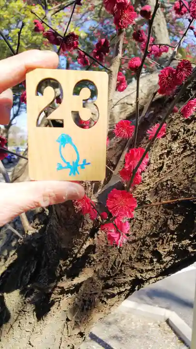 大宮・大原神社(千葉県)