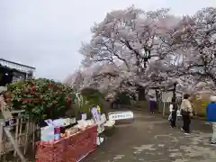 実相寺のお祭り