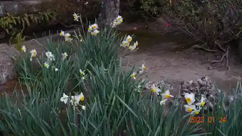 海蔵寺(神奈川県)