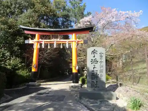 宇治上神社の鳥居