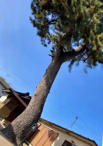 熊野神社(宮城県)