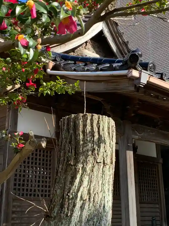 金刀比羅神社(石川県)